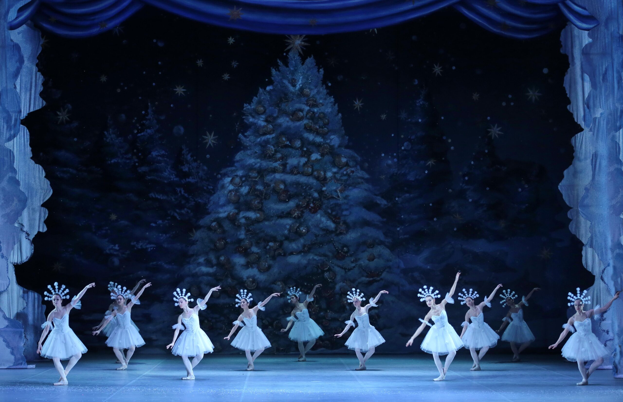 Nutcracker Ballet- Landscape